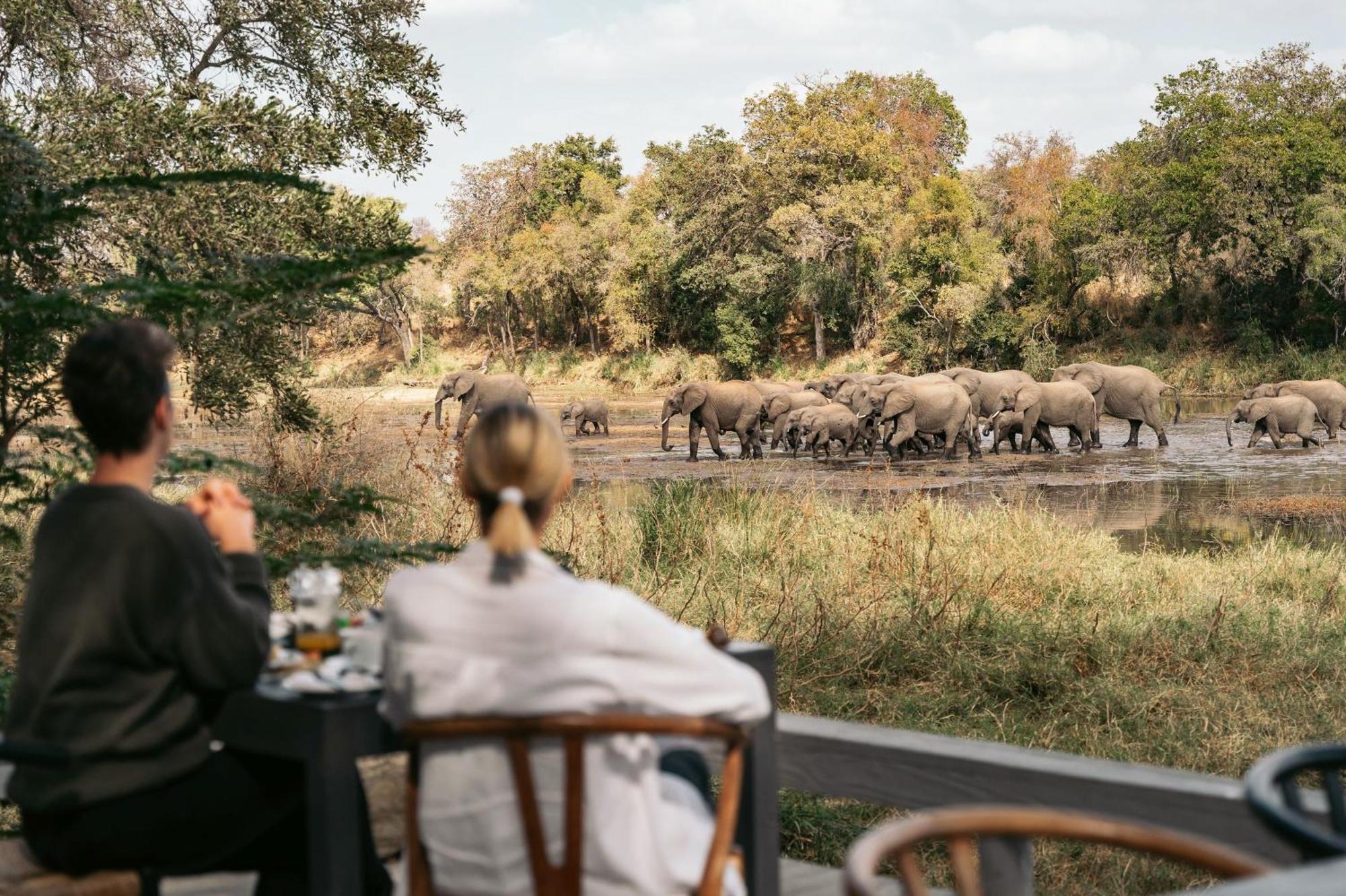 Simbavati River Lodge Timbavati Vadrezervátum Kültér fotó