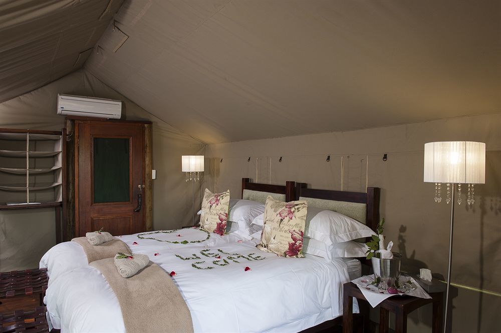 Simbavati River Lodge Timbavati Vadrezervátum Kültér fotó