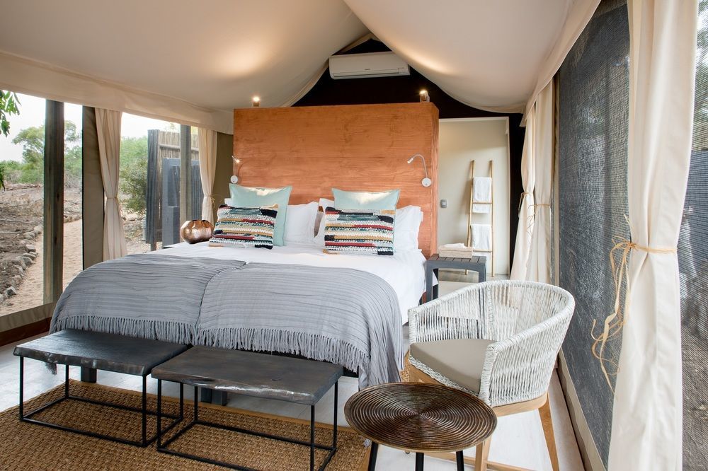 Simbavati River Lodge Timbavati Vadrezervátum Kültér fotó