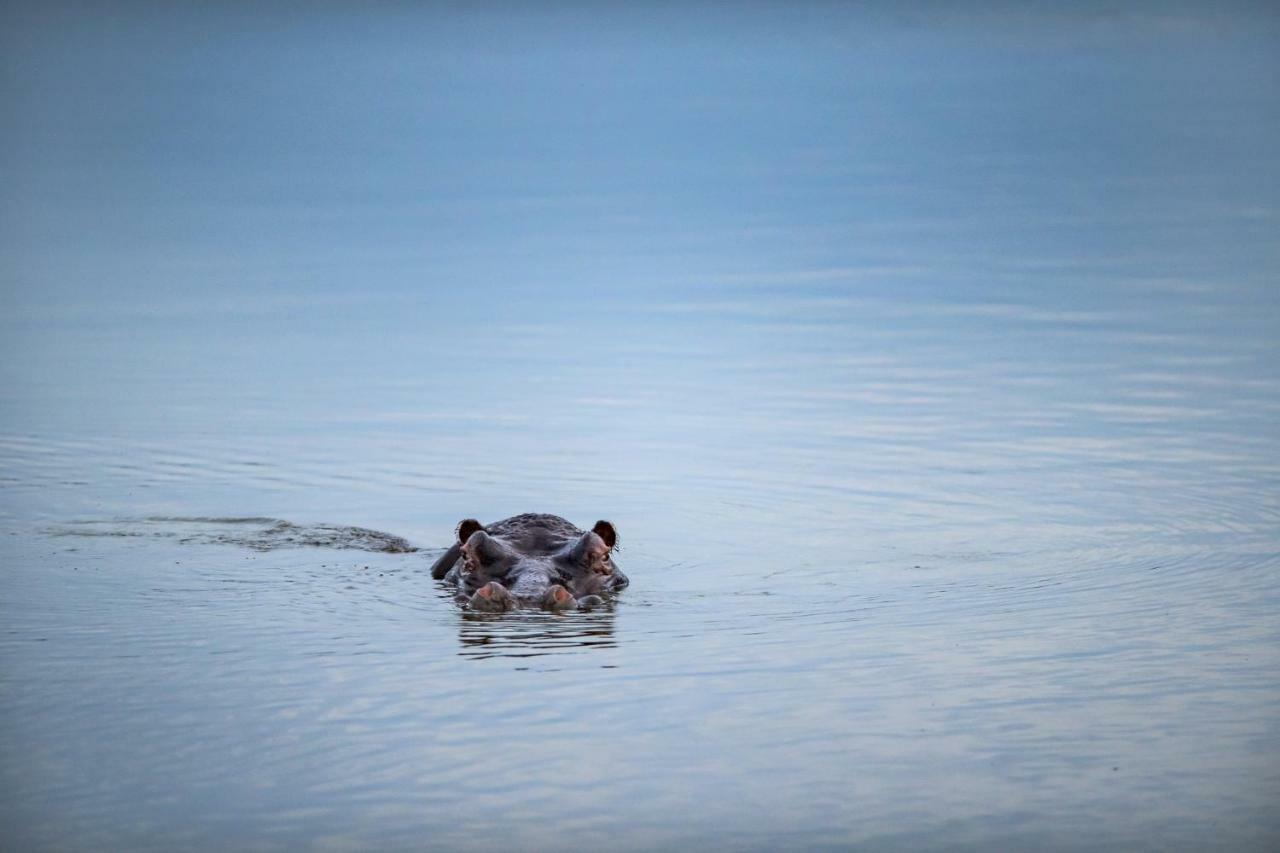 Simbavati River Lodge Timbavati Vadrezervátum Kültér fotó